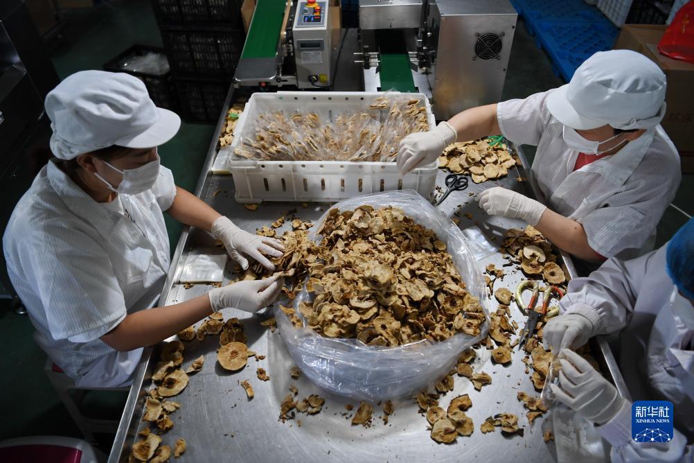 姚记斗地主记牌器软件